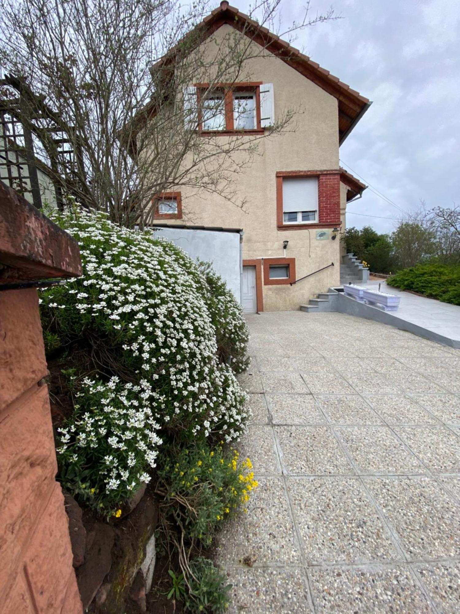 Le Refuge De L'Ours Villa Baerenthal ภายนอก รูปภาพ