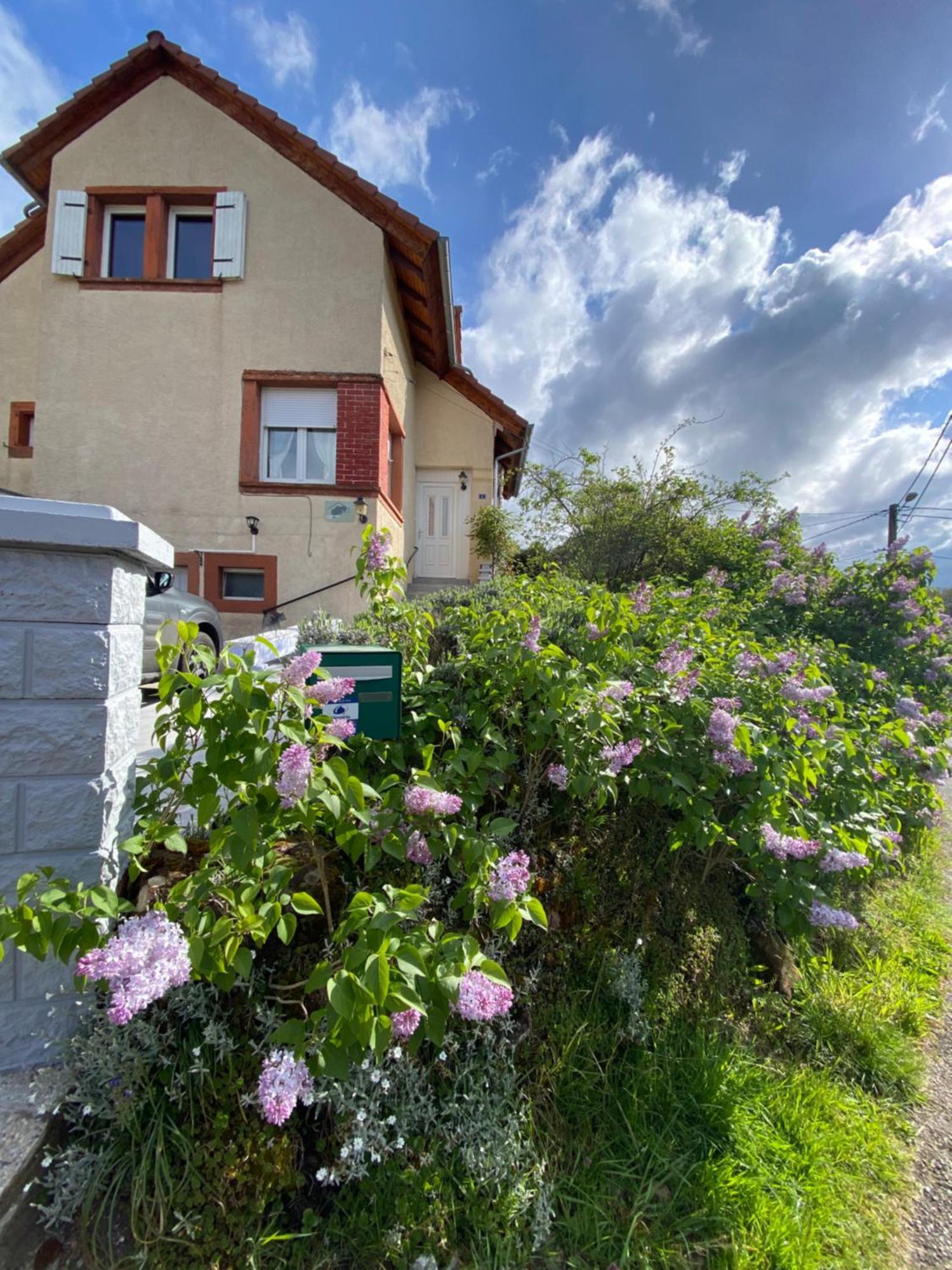 Le Refuge De L'Ours Villa Baerenthal ภายนอก รูปภาพ