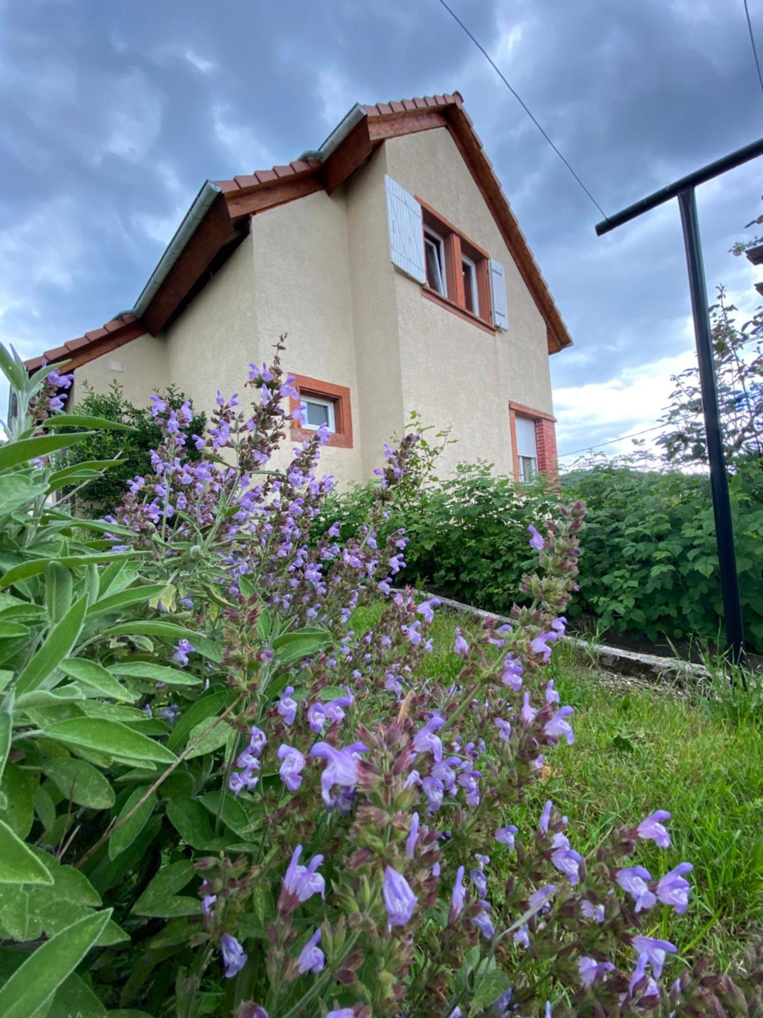 Le Refuge De L'Ours Villa Baerenthal ภายนอก รูปภาพ