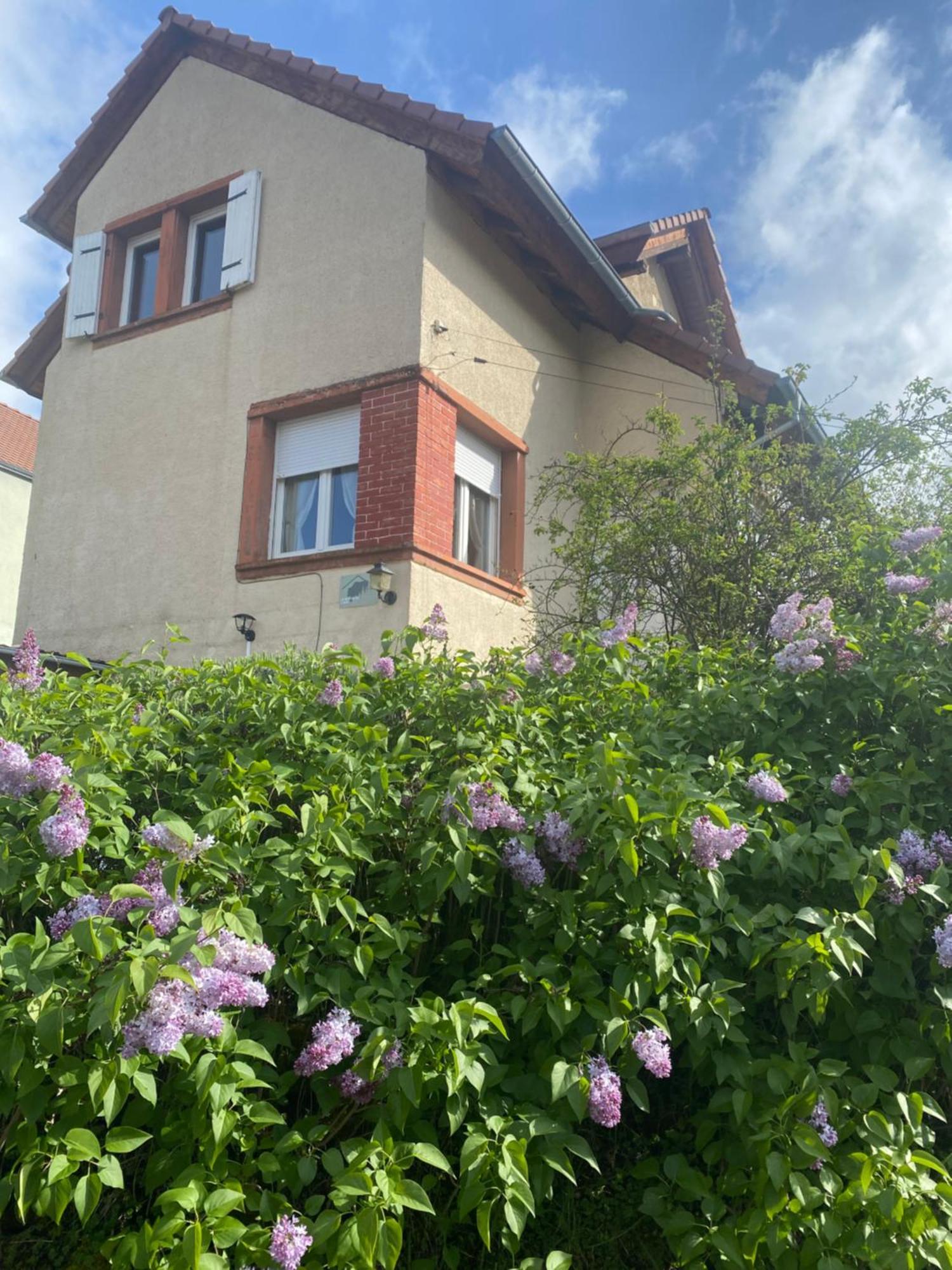 Le Refuge De L'Ours Villa Baerenthal ภายนอก รูปภาพ
