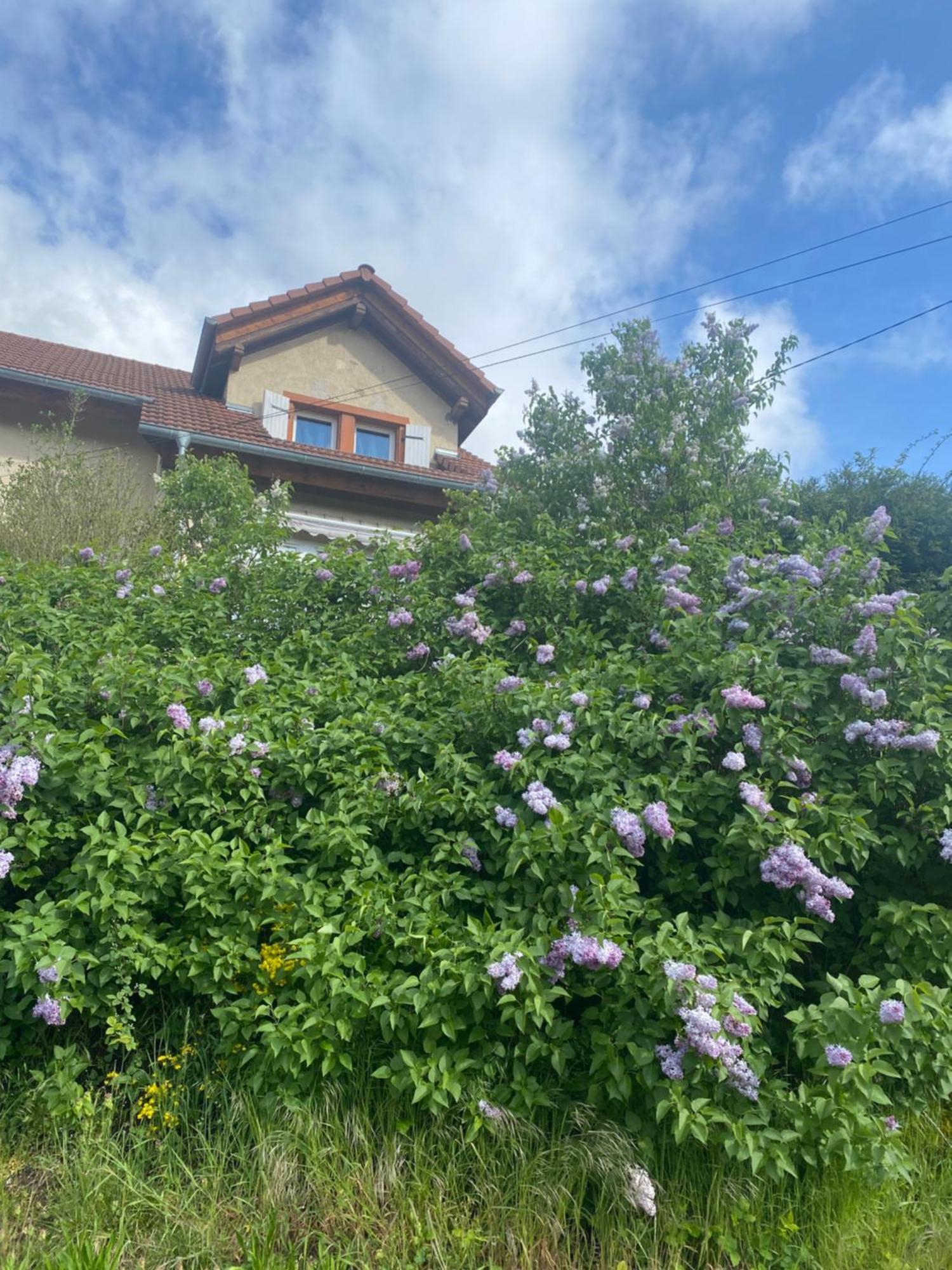 Le Refuge De L'Ours Villa Baerenthal ภายนอก รูปภาพ