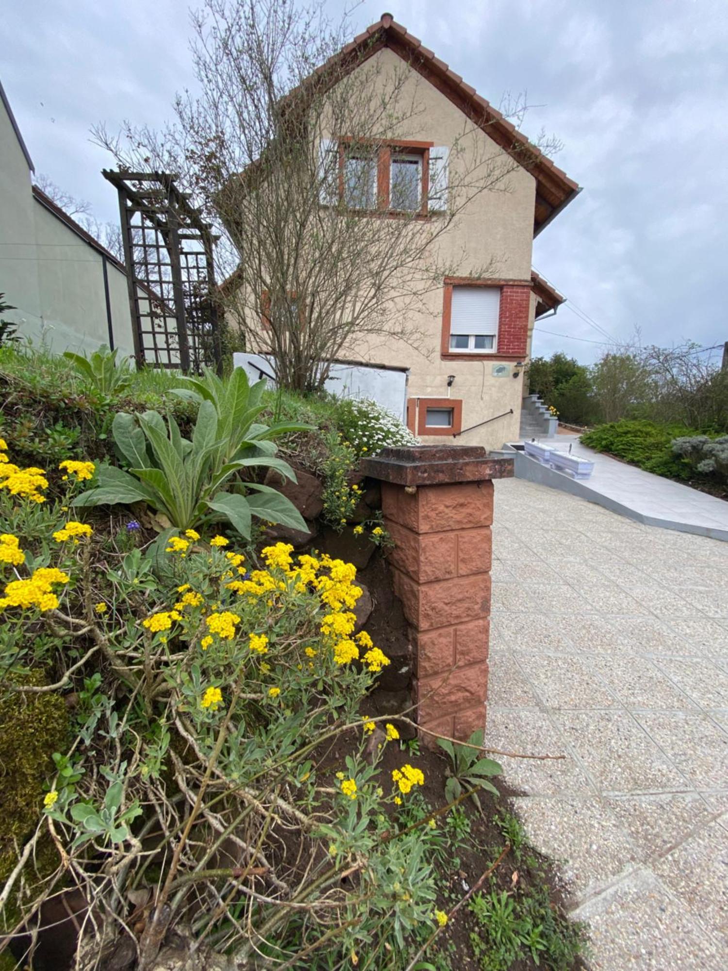 Le Refuge De L'Ours Villa Baerenthal ภายนอก รูปภาพ